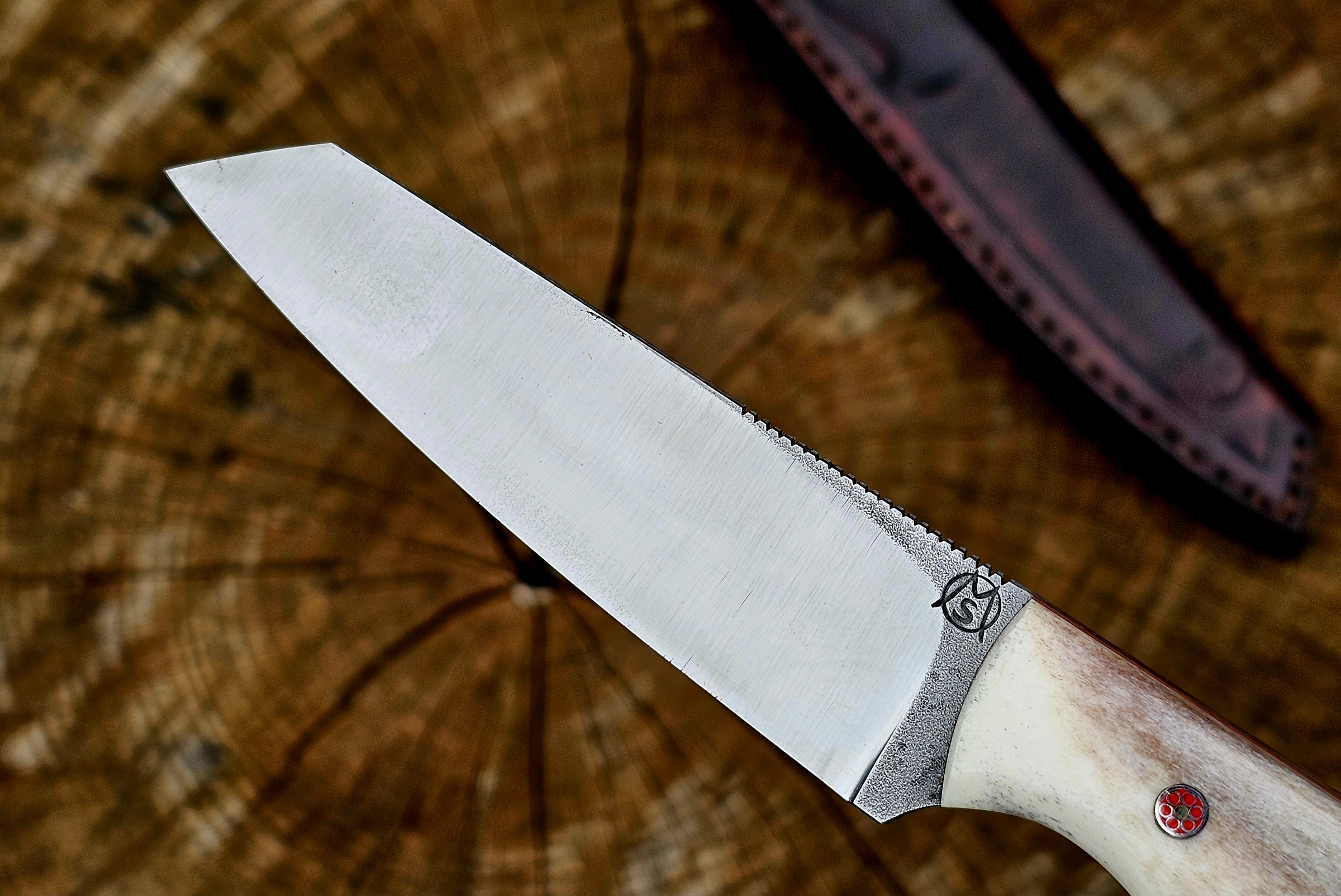 Detailaufnahme der dünn ausgeschliffenen Klinge vom Boreas Messer aus 1.2565 Stahl